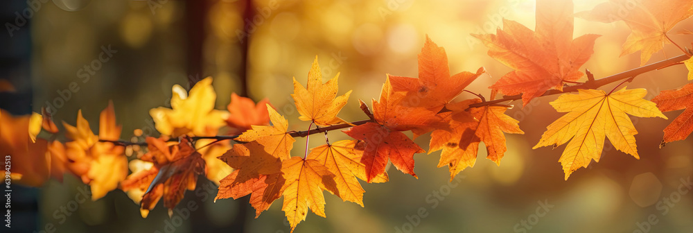 Autumn leaves on the sun and blurred trees for fall background. Generative Ai