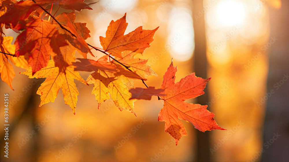 Autumn leaves on the sun and blurred trees for fall background. Generative Ai