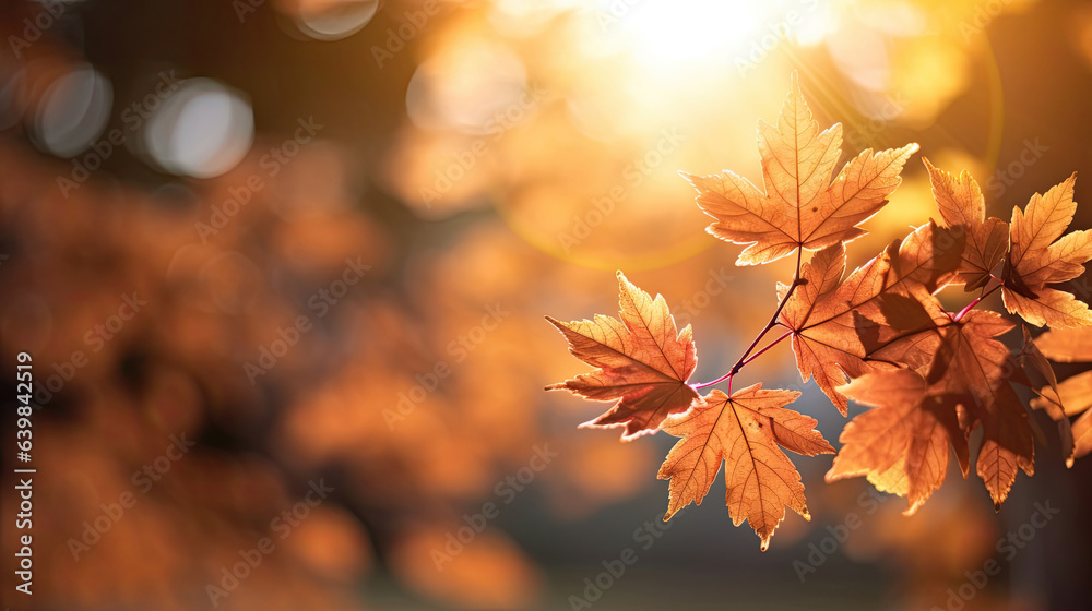 Autumn leaves on the sun and blurred trees for fall background. Generative Ai