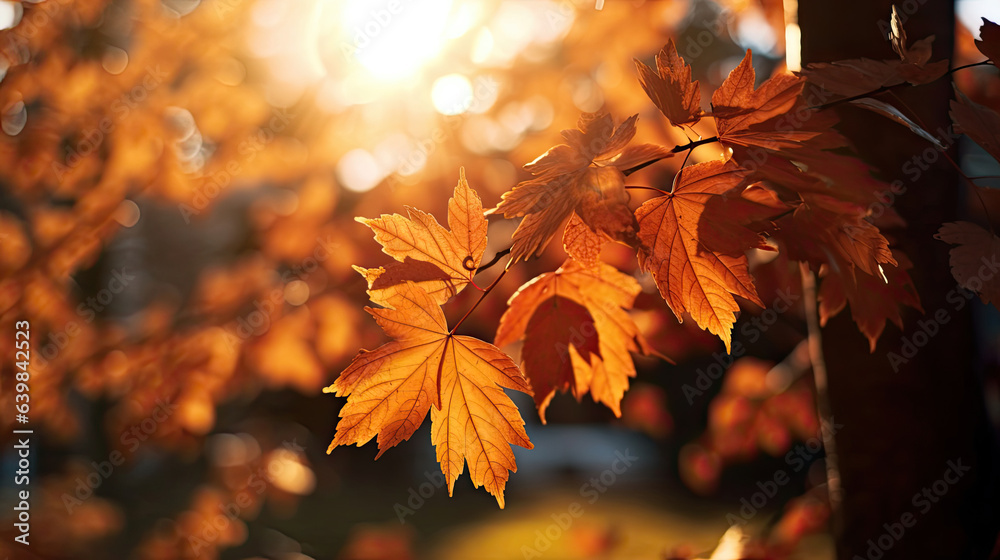 Autumn leaves on the sun and blurred trees for fall background. Generative Ai