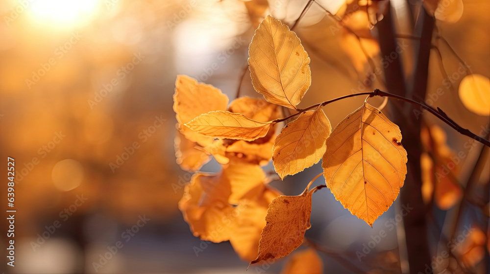 Autumn leaves on the sun and blurred trees for fall background. Generative Ai