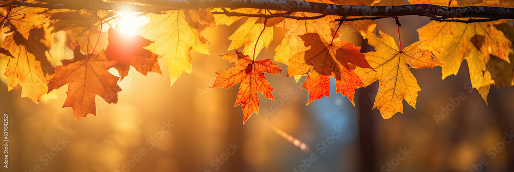 Autumn leaves on the sun and blurred trees for fall background. Generative Ai