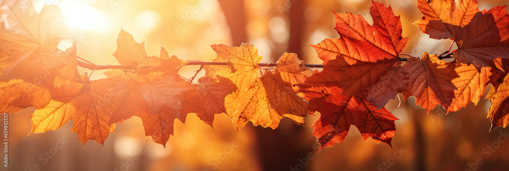 Autumn leaves on the sun and blurred trees for fall background. Generative Ai