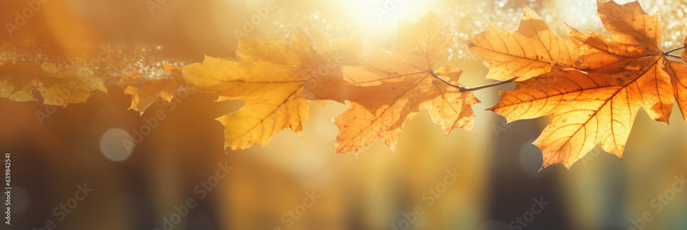 Autumn leaves on the sun and blurred trees for fall background. Generative Ai