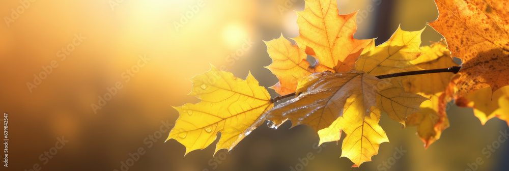 Autumn leaves on the sun and blurred trees for fall background. Generative Ai