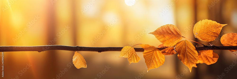 Autumn leaves on the sun and blurred trees for fall background. Generative Ai