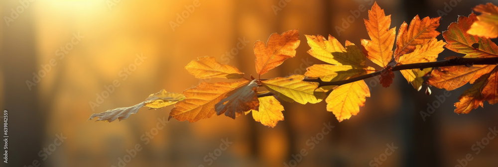 Autumn leaves on the sun and blurred trees for fall background. Generative Ai