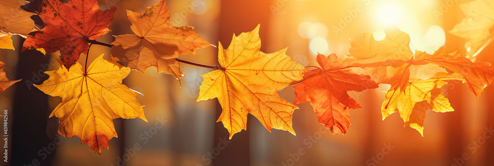 Autumn leaves on the sun and blurred trees for fall background. Generative Ai