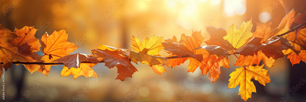 Autumn leaves on the sun and blurred trees for fall background. Generative Ai