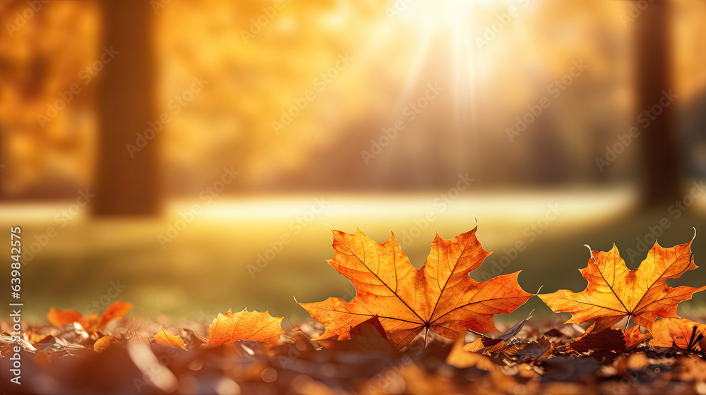 Autumn leaves on the sun and blurred trees for fall background. Generative Ai