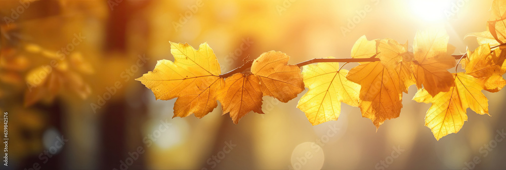 Autumn leaves on the sun and blurred trees for fall background. Generative Ai