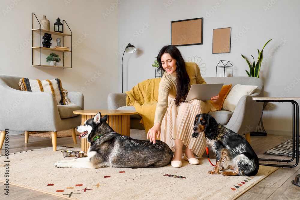 Young woman with laptop and cute dogs at home