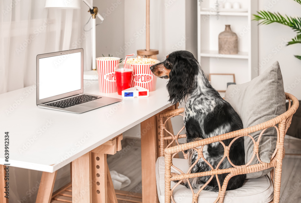 Cute cocker spaniel dog with buckets of popcorn, laptop and 3D cinema glasses sitting on chair at ta