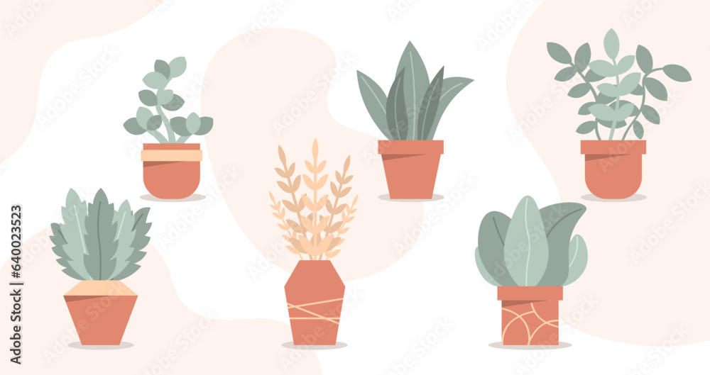 Set of house plants concept. Flowers and leaves in pots. Elements of decor and interior for apartmen