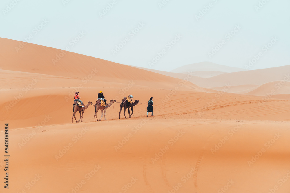 Camel trek with tourists through the sahara desert in Merzouga, Morocco