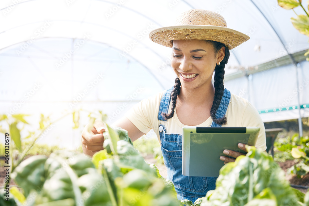 Farmer, woman and tablet for greenhouse plants, growth inspection and vegetables development in agri