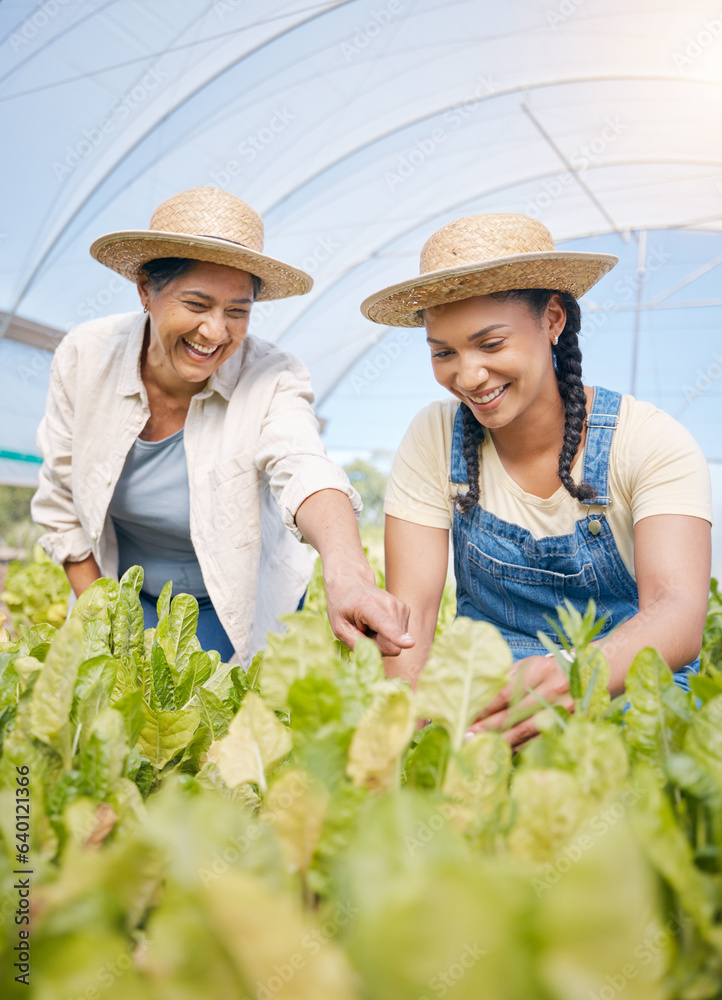 Agriculture, farming and women talking of plants in greenhouse for sustainability. Happy people or t