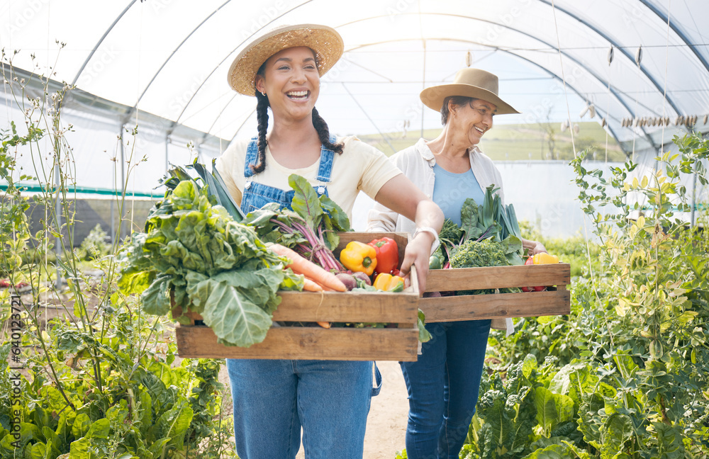 Women, agriculture and vegetable farming teamwork in a greenhouse for harvest and sustainability. Ha