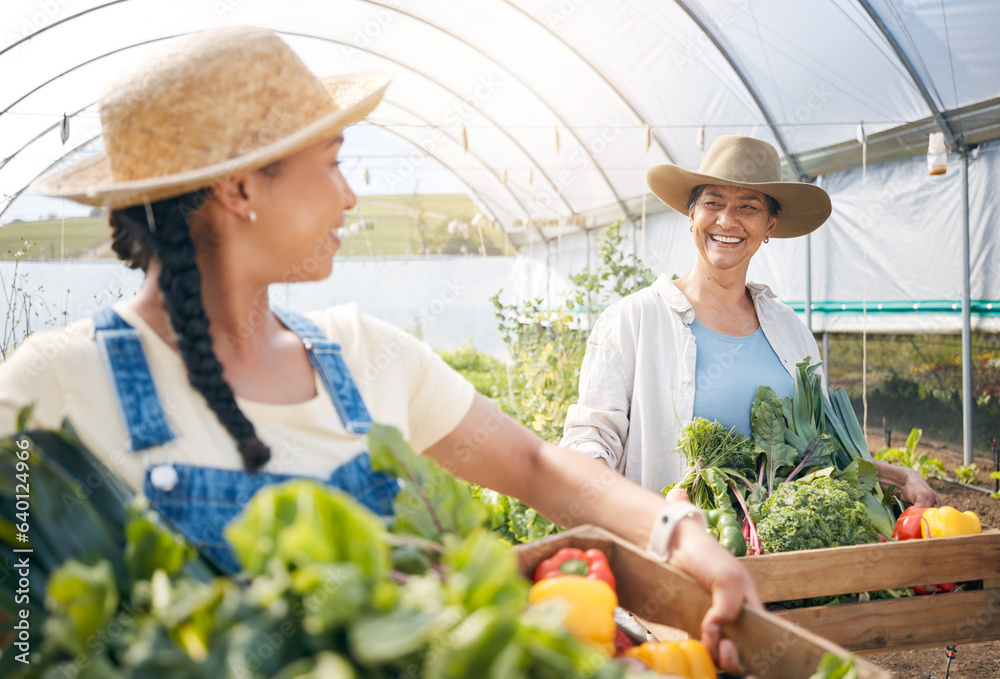 Farming, agriculture and women with vegetables and teamwork in a greenhouse for sustainability. Happ