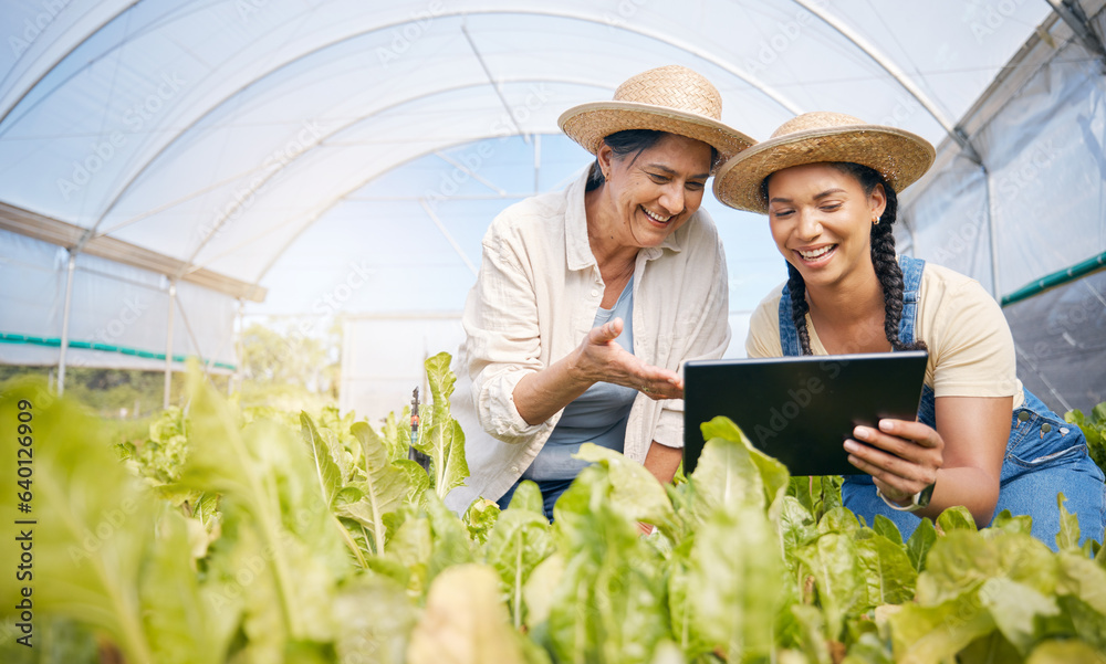 Agriculture, teamwork and women with a tablet in a greenhouse for plants and sustainability. Happy p