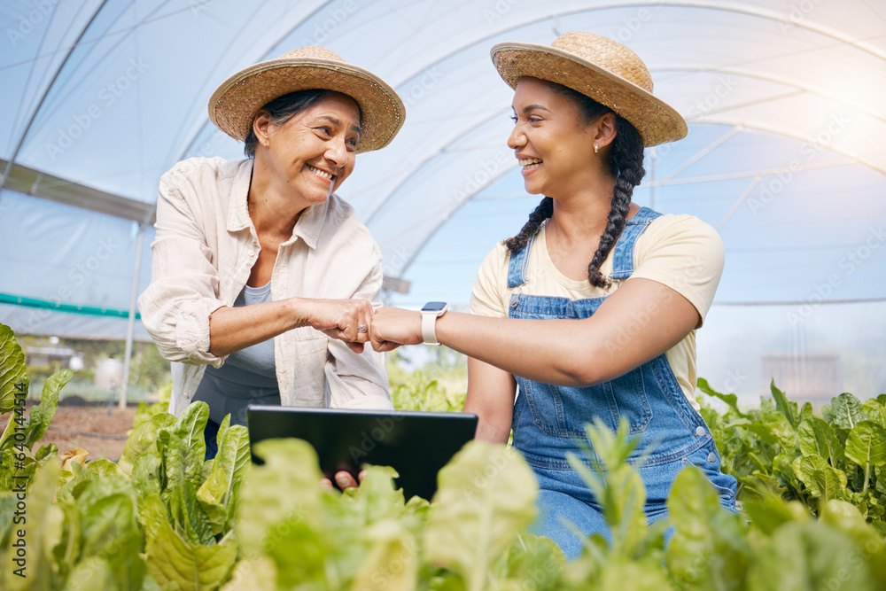 Success, agriculture and teamwork with a tablet in a greenhouse for plants or sustainability. Happy 