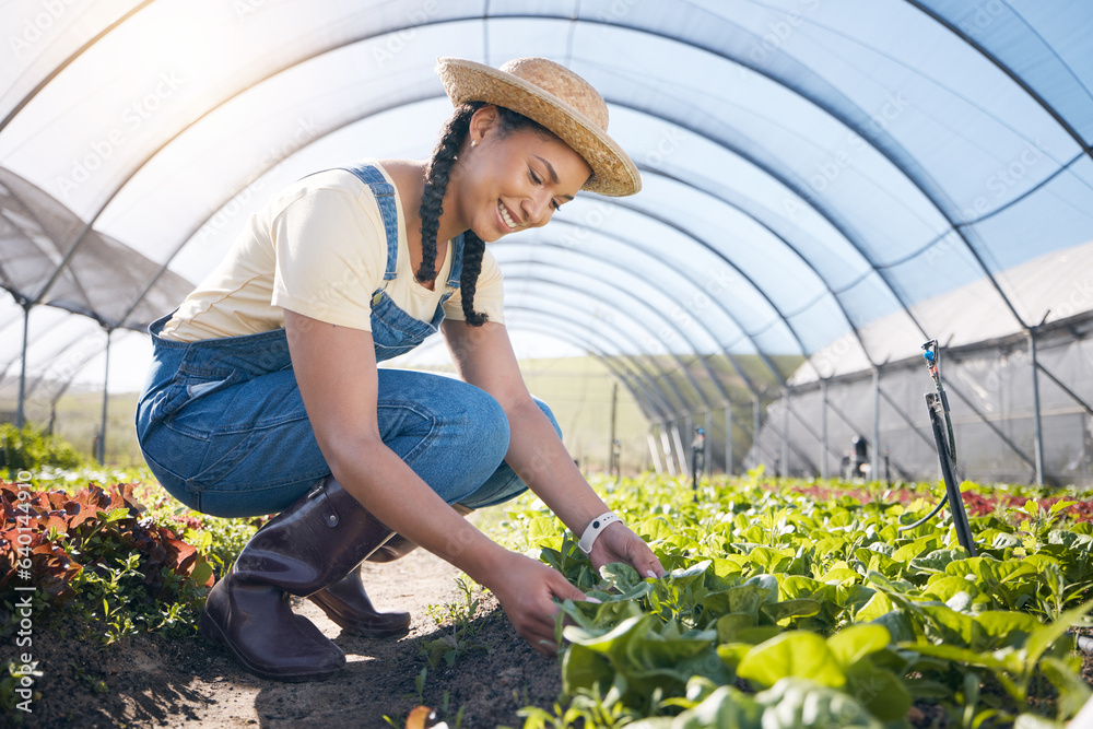 Plants, agriculture and woman farming in a greenhouse for health and sustainability. Young person wi