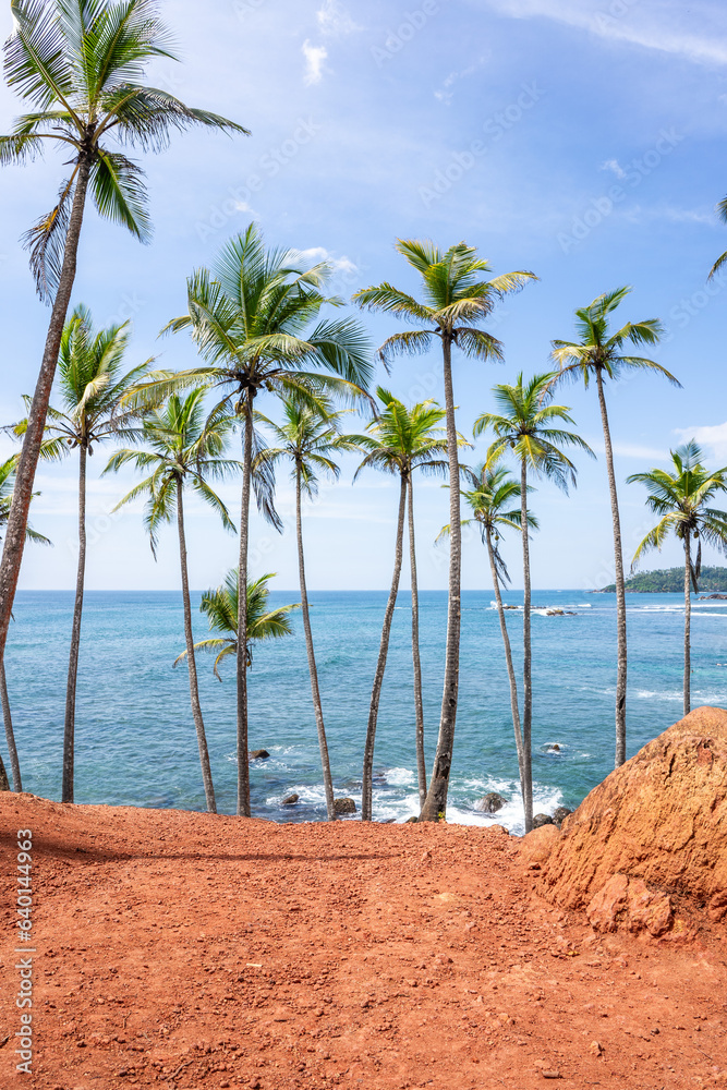 Famous Coconut Tree Hill in Mirissa, Sri Lanka Beach next to the Indian Ocean