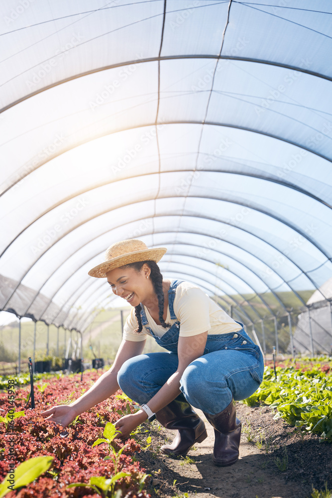 Farmer, woman and plants in greenhouse for farming, agriculture and vegetables growth or production.