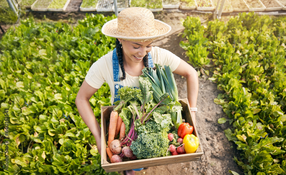 Farmer, woman and vegetables box for agriculture, sustainability or farming in greenhouse and agro b