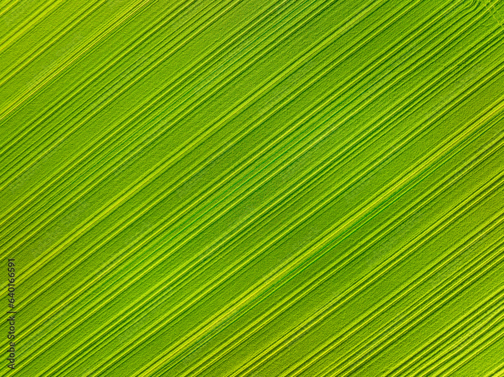 Aerial view of the field. Nature as a background. Landscape from a drone. Light and shadow. Natural 