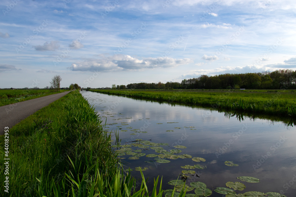 Landscape green meadow and canal with clear water