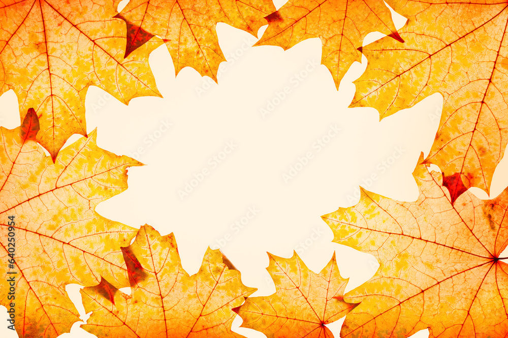 Frame from autumn red yellow maple leaves with natural texture on beige background, copy space. Natu