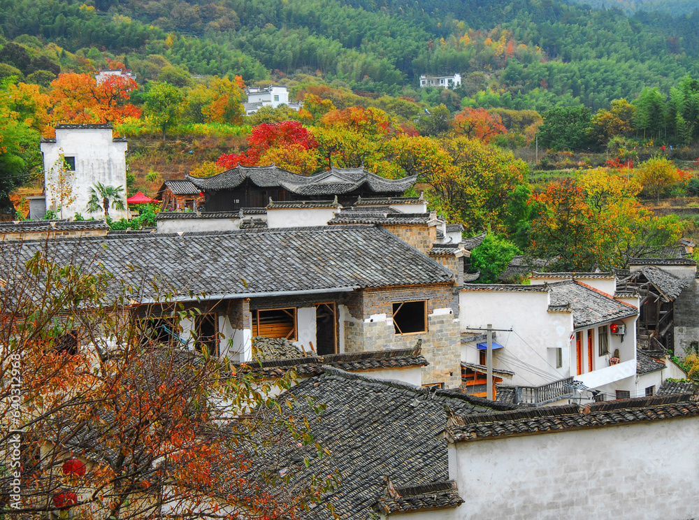 Asian countryside in autumn, red leaves and white houses