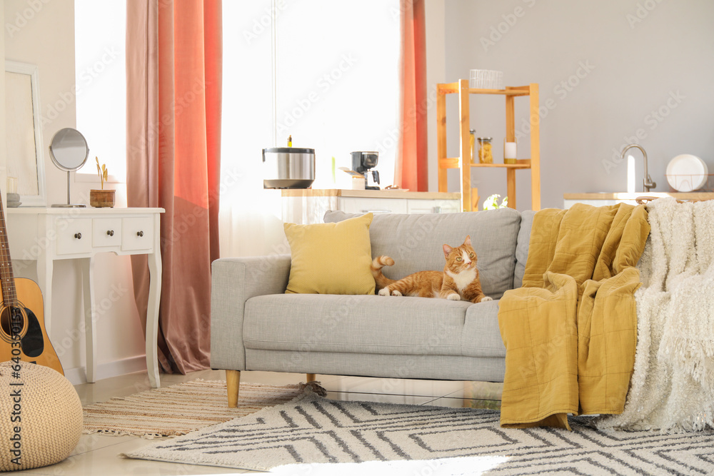 Cute red cat lying on grey couch at home