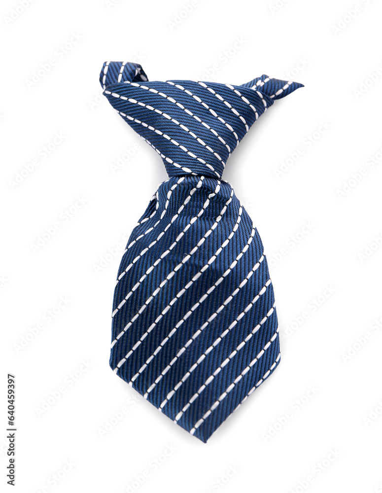 Stylish necktie for pet isolated on white background