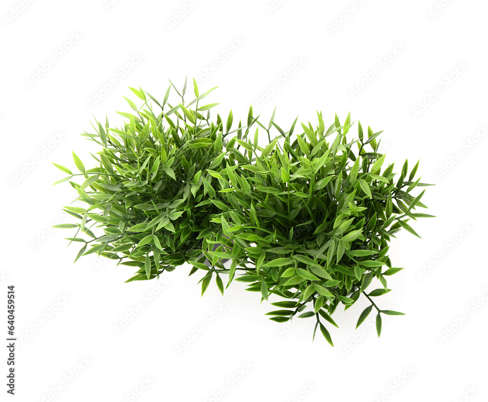 Pots with artificial houseplants isolated on white background