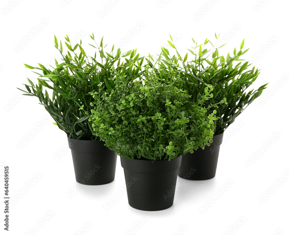 Pots with artificial houseplants on white background