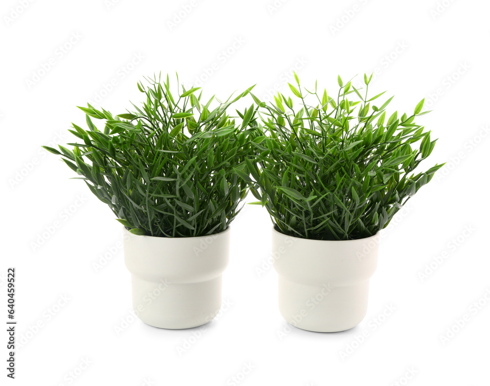 Pots with artificial houseplants isolated on white background