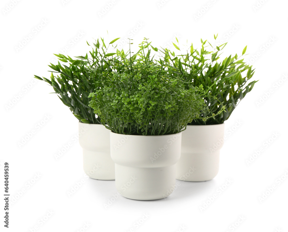 Pots with artificial houseplants isolated on white background