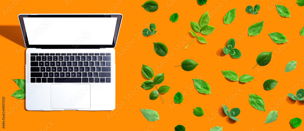 Laptop computer with green leaves - flat lay