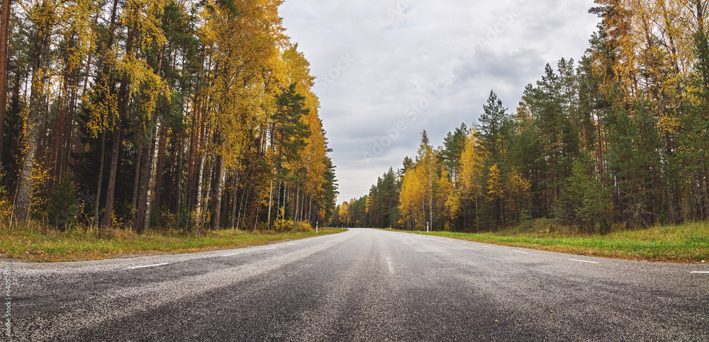 Beautiful background of the curve country asphalt highway in autumnal natural park.