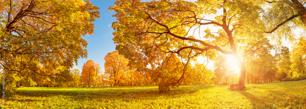 Sunrise in the beautiful autumnal natural park.