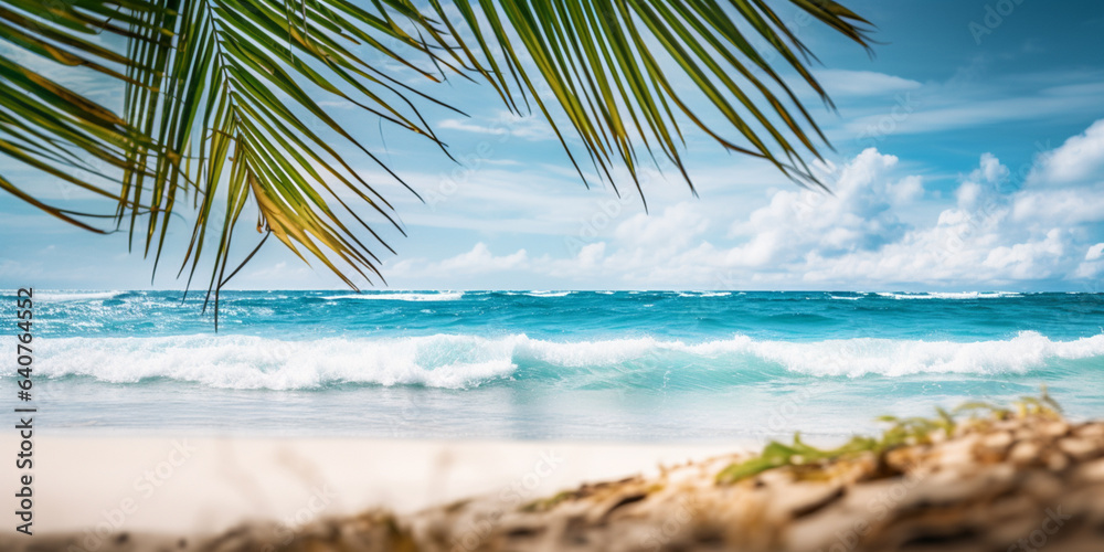 Tropical beach panorama view, coastline with palms, Caribbean sea in sunny day, summer time, Tropica