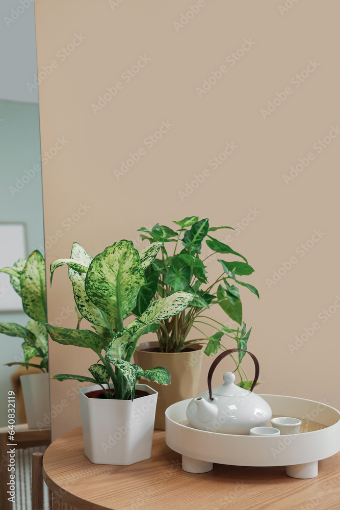 Tray with teapot and houseplants on table in room