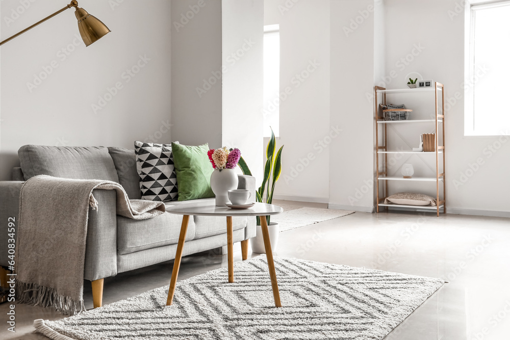 Interior of light living room with grey sofa and blooming hyacinth flowers on table