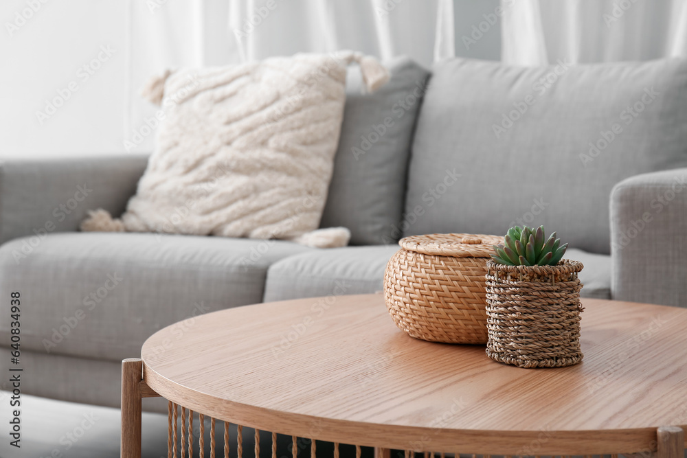 Wooden coffee table with with houseplant and wicker basket near grey sofa in living room