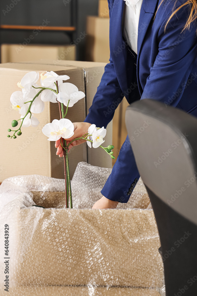 Businesswoman packing flowers into cardboard box in office on moving day