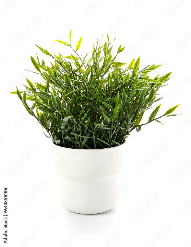 Pot with artificial houseplant isolated on white background