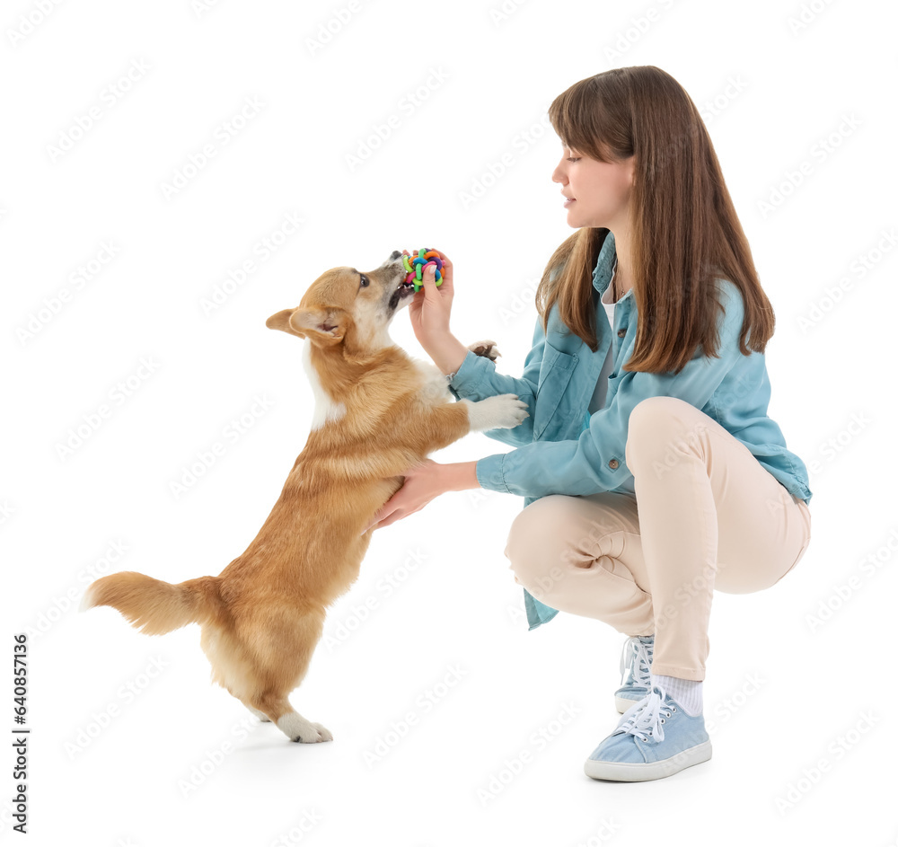 Pretty young woman playing with cute Corgi dog  on white background