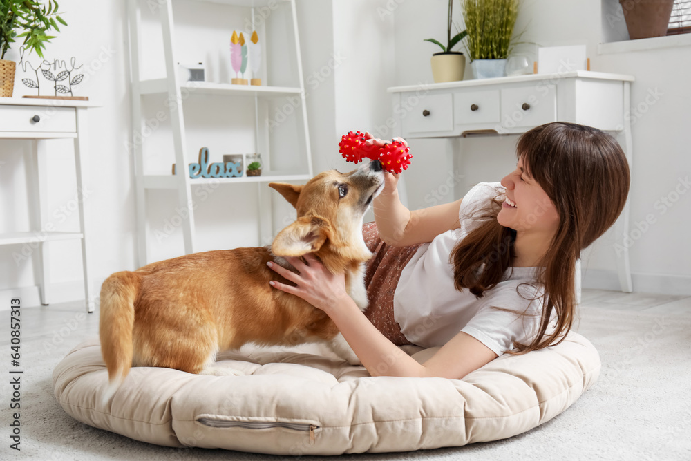 Pretty young woman lying on pet bed and playing with cute Corgi dog in living room